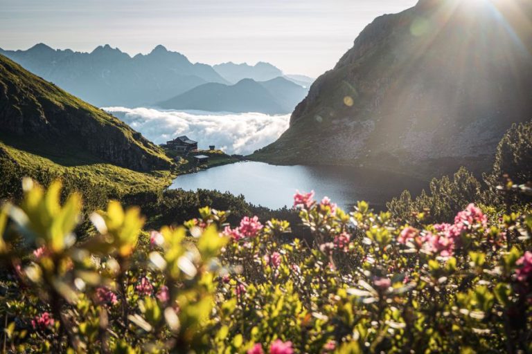 wildseelodersee am morgen in Fieberbrunn