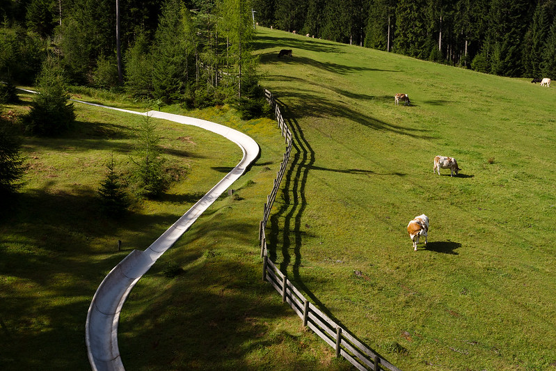 Sommerrodelbahn Österreich